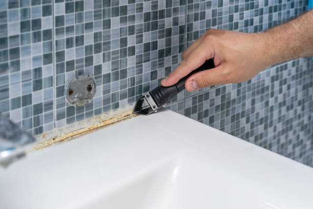 Best Home Mold Removal  in Wildwood, MO